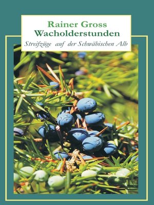 cover image of Wacholderstunden